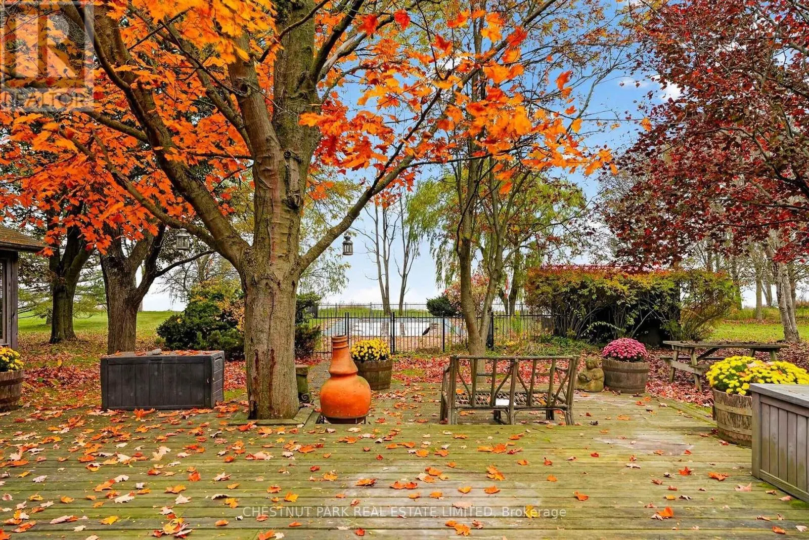 3797 LAKESHORE ROAD
