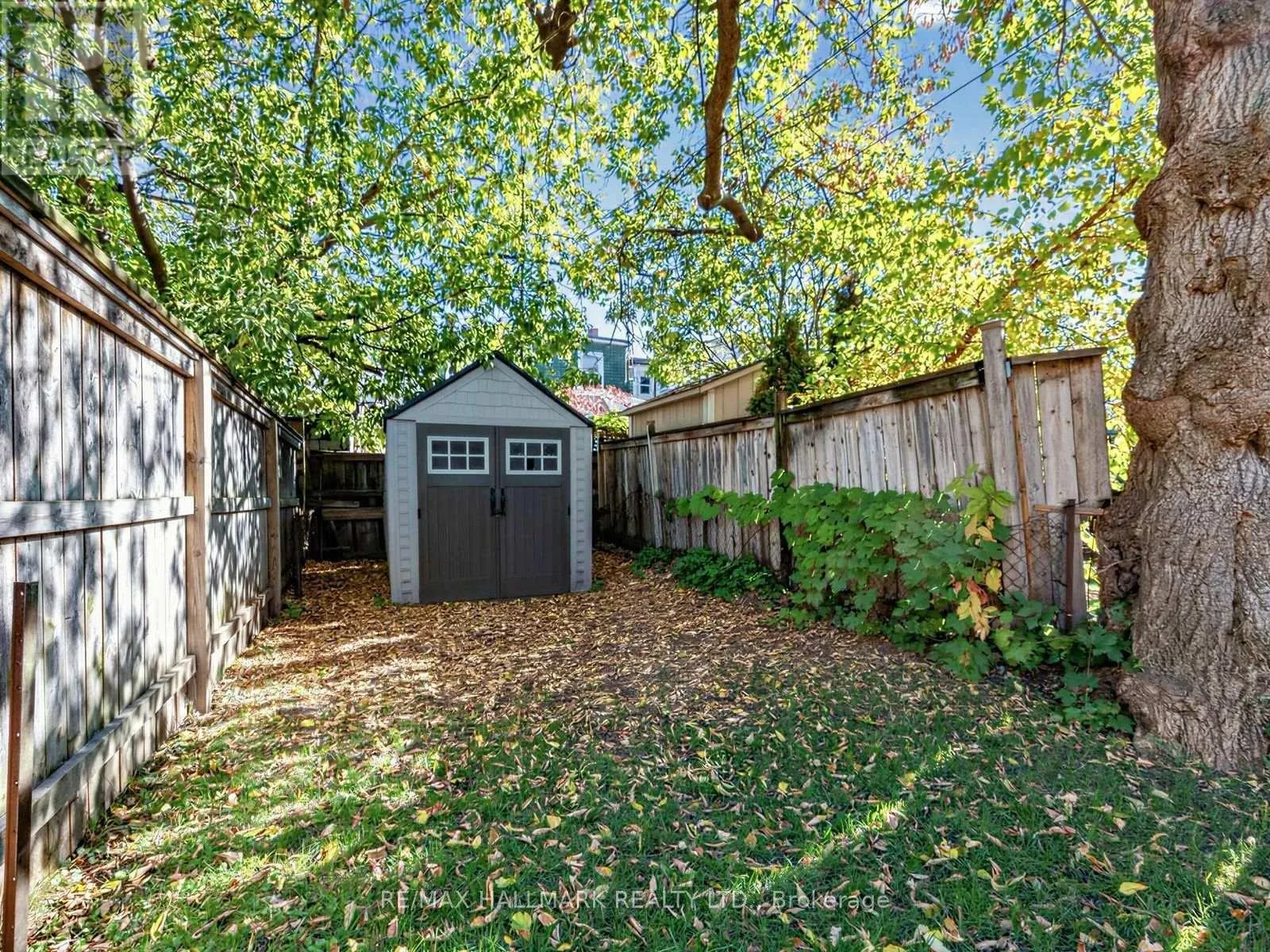 67 AMROTH AVENUE
