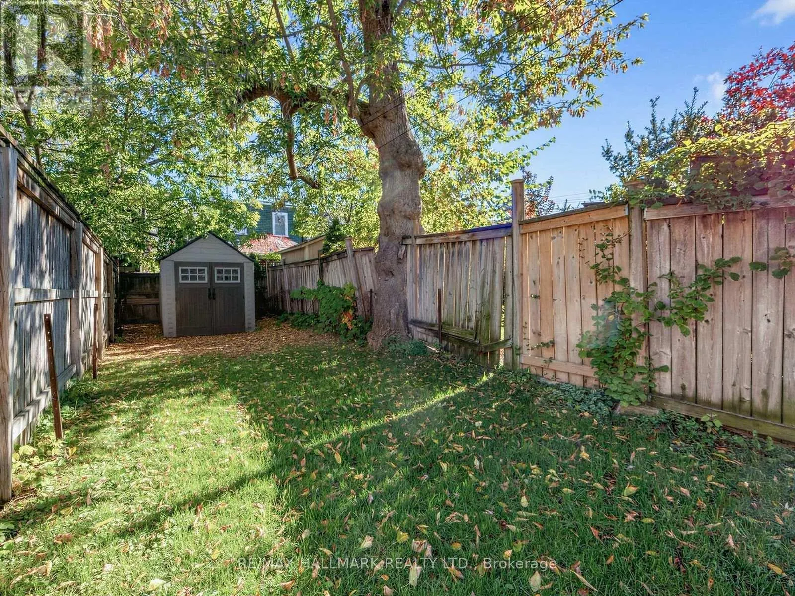 67 AMROTH AVENUE