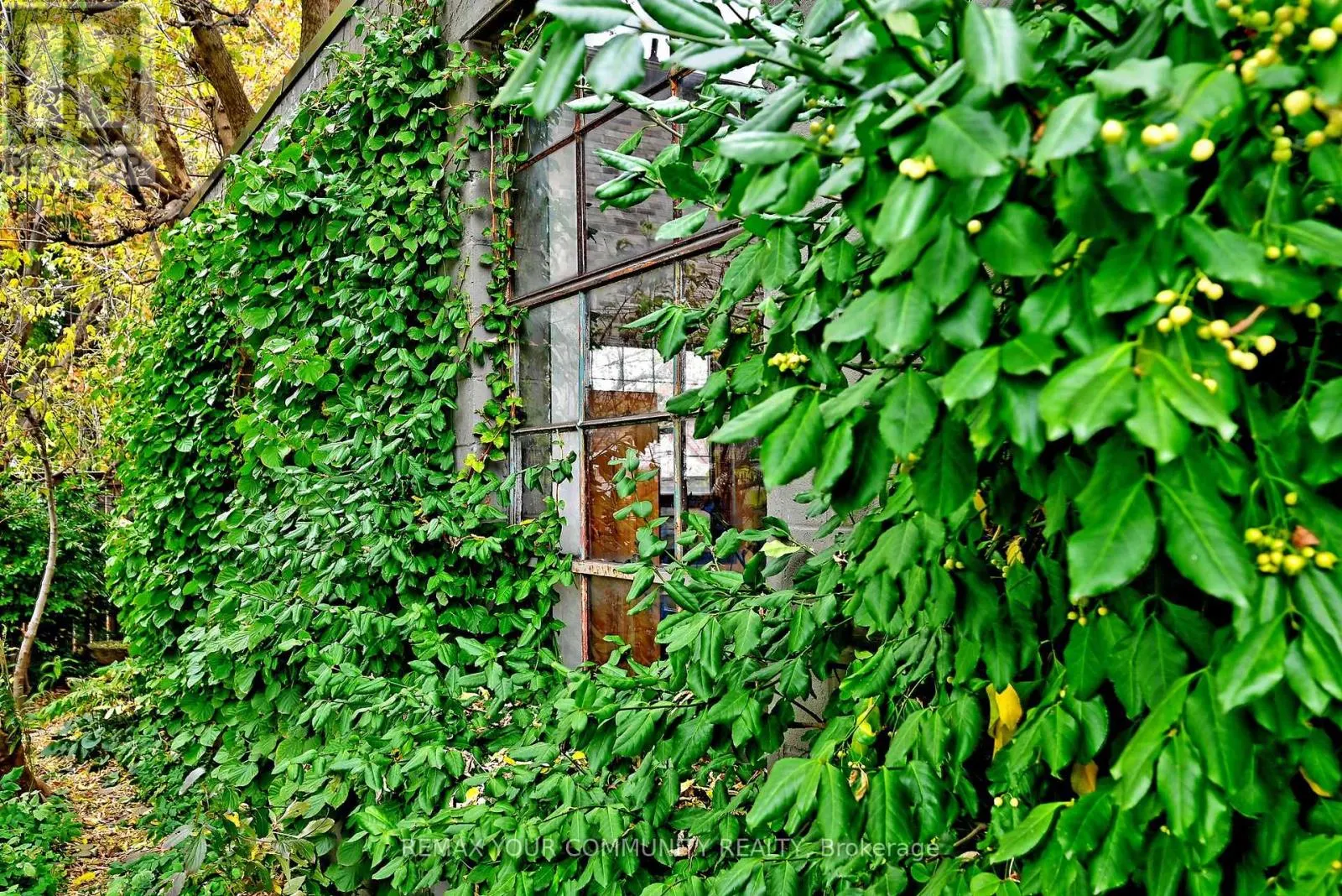 20 LUCY AVENUE