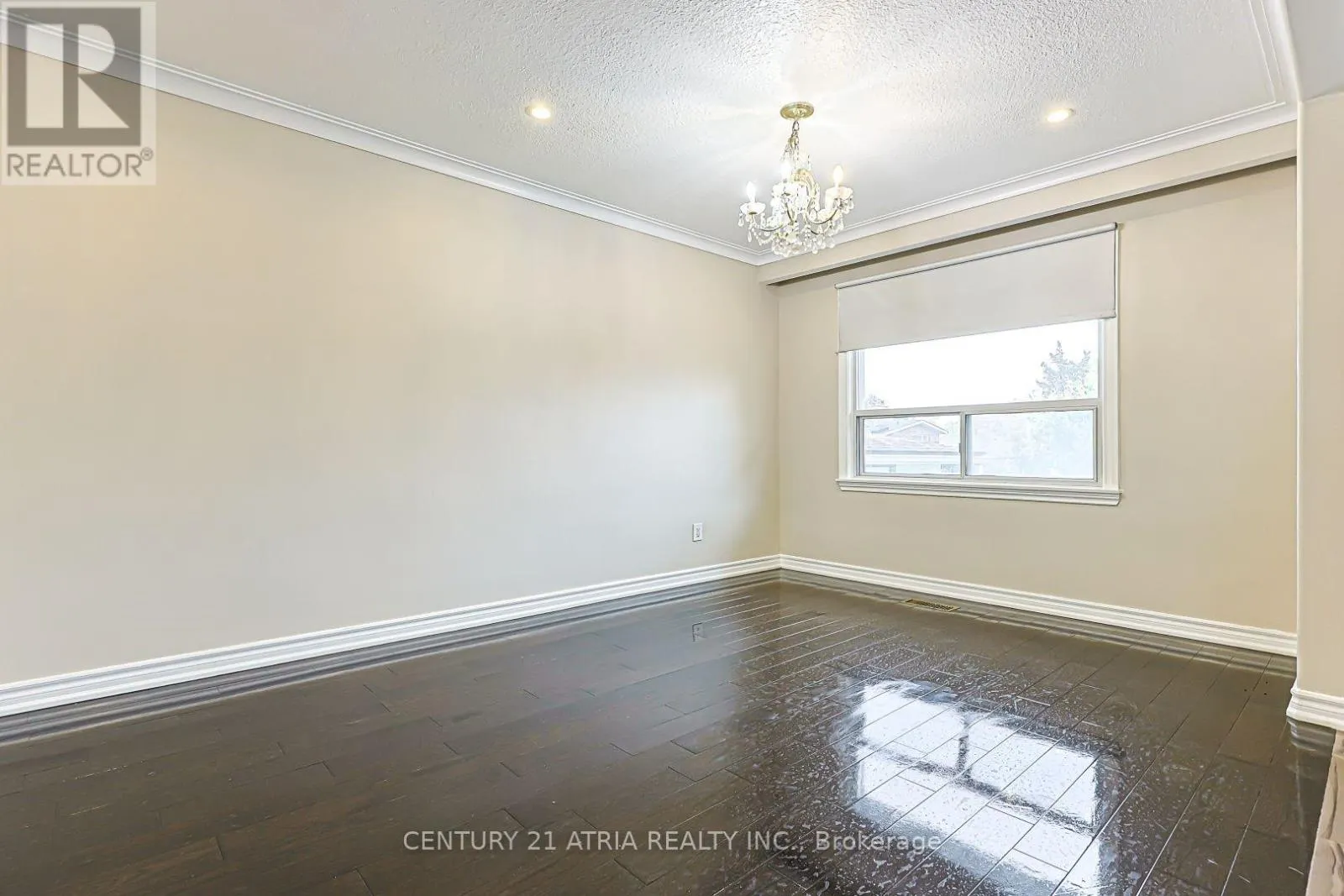 MAIN LEVEL - 17 MARLBANK ROAD