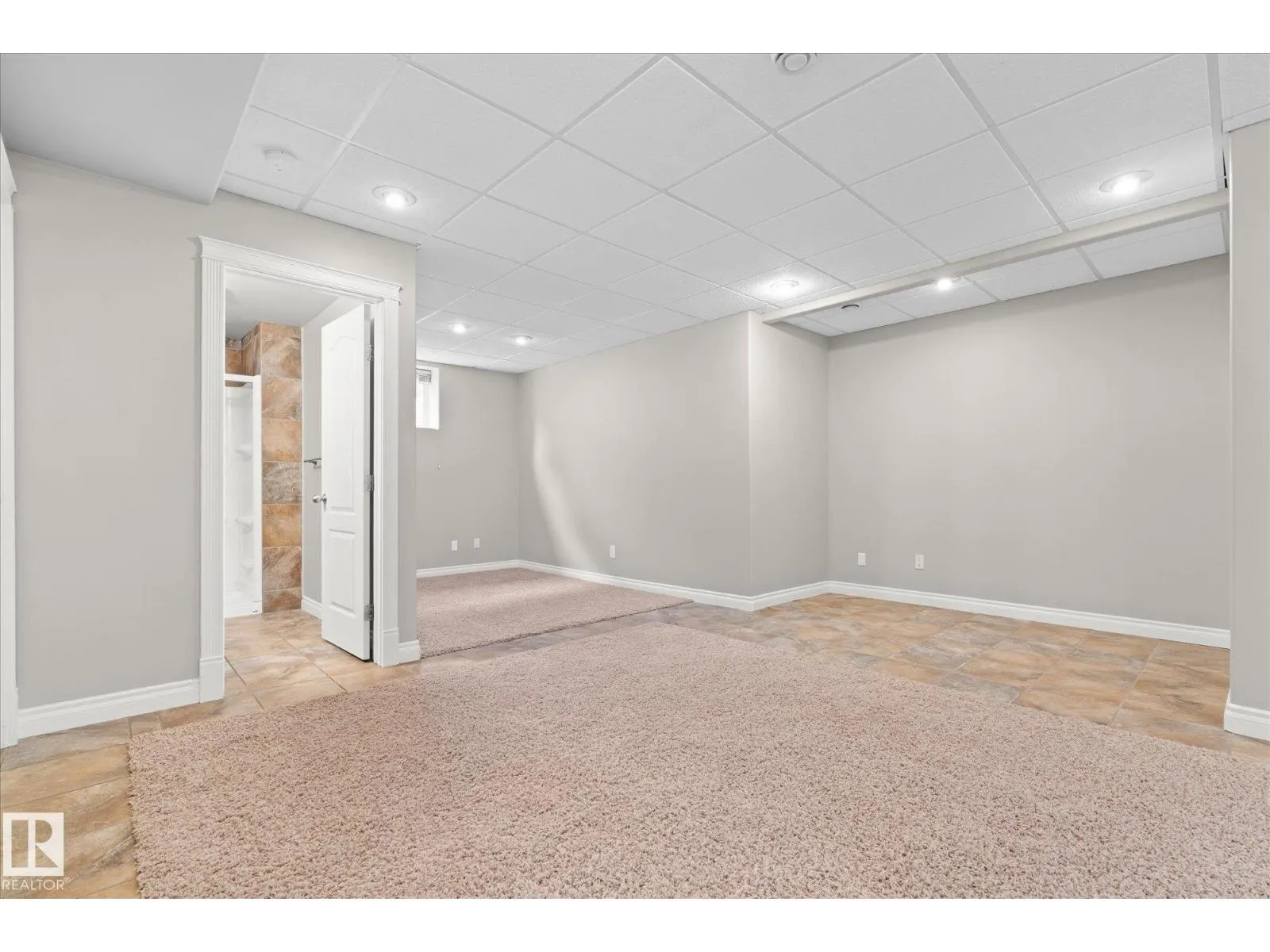 23 LAMPLIGHT CV