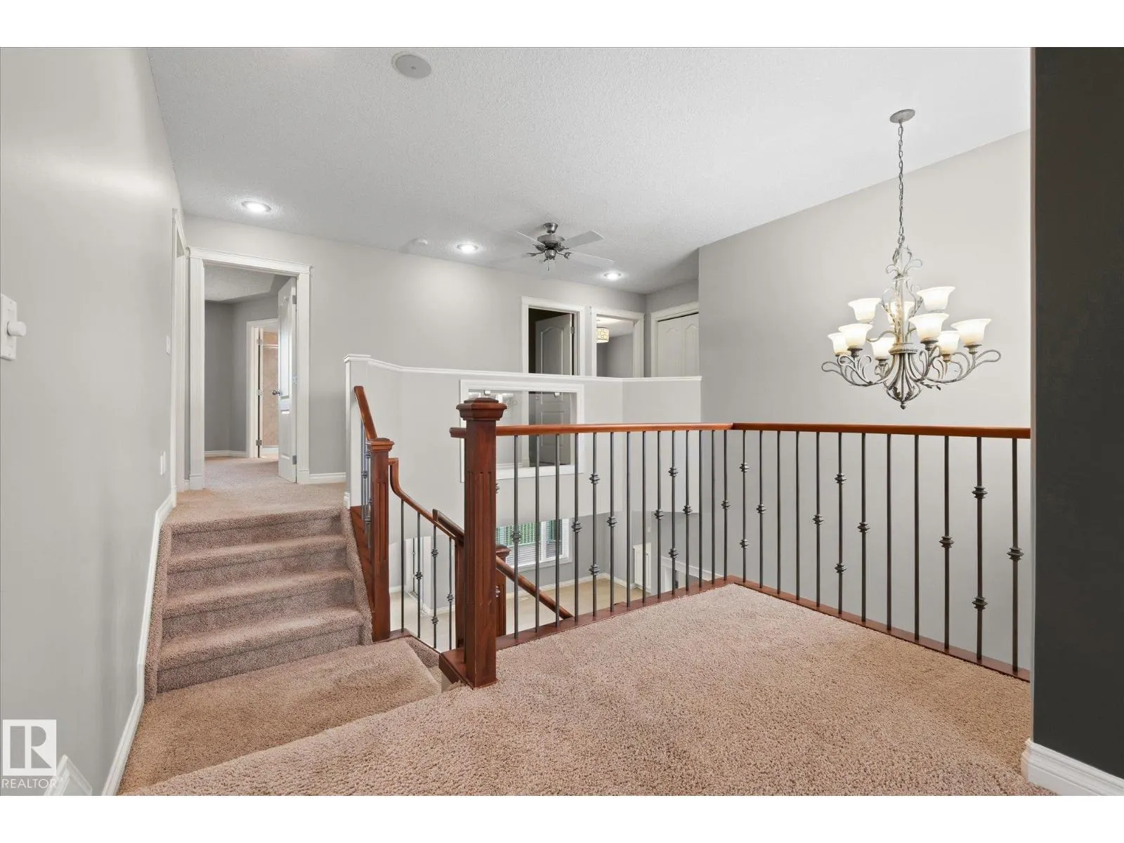 23 LAMPLIGHT CV
