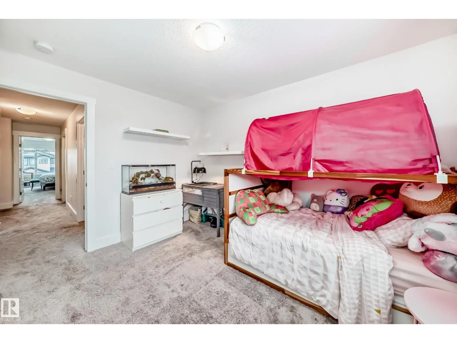 29 PETER ST