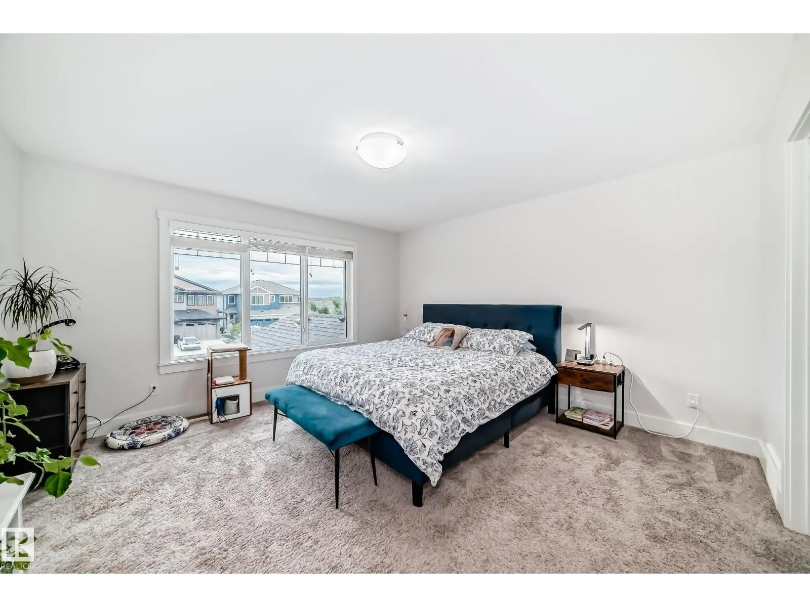 29 PETER ST