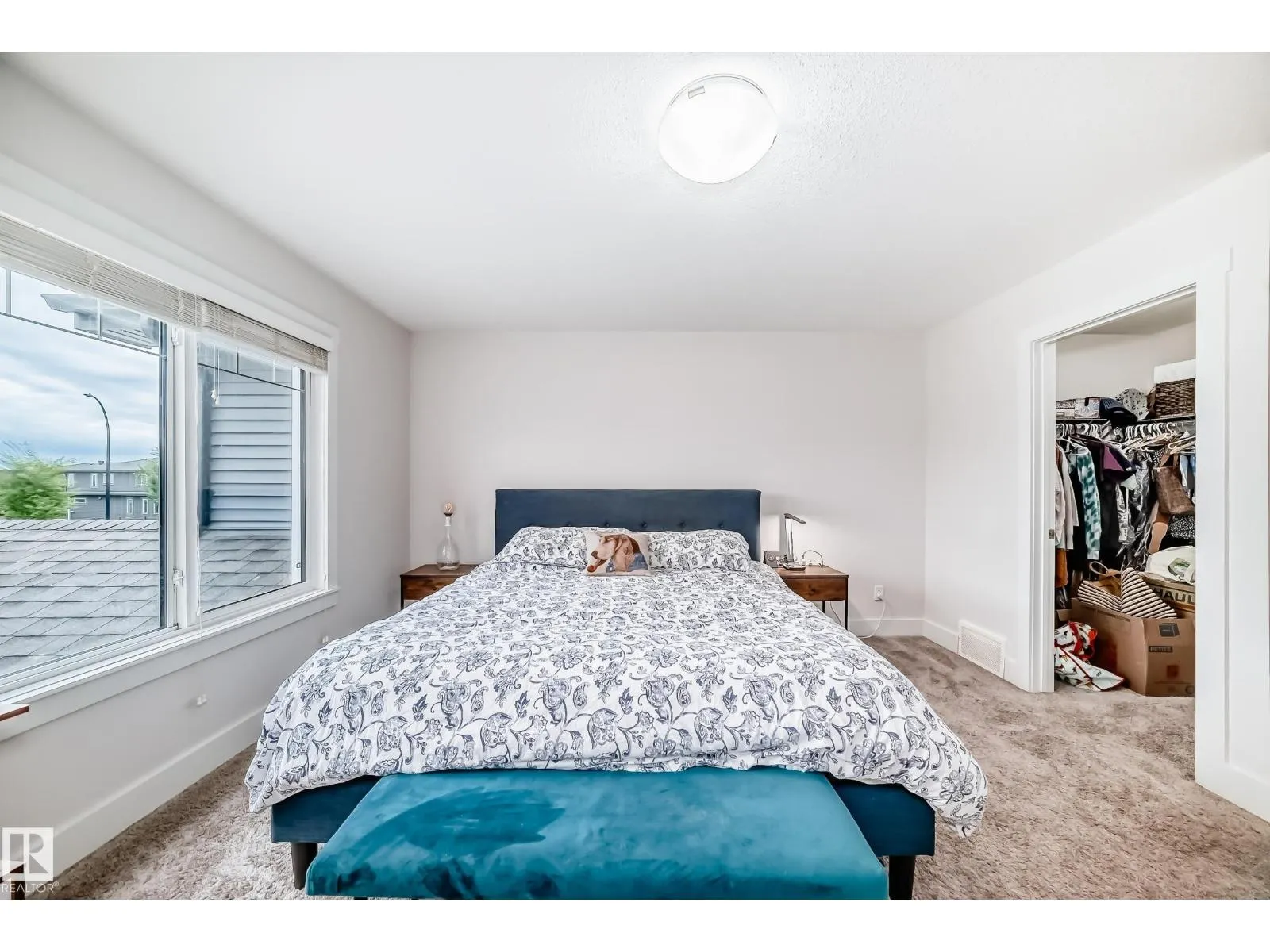 29 PETER ST