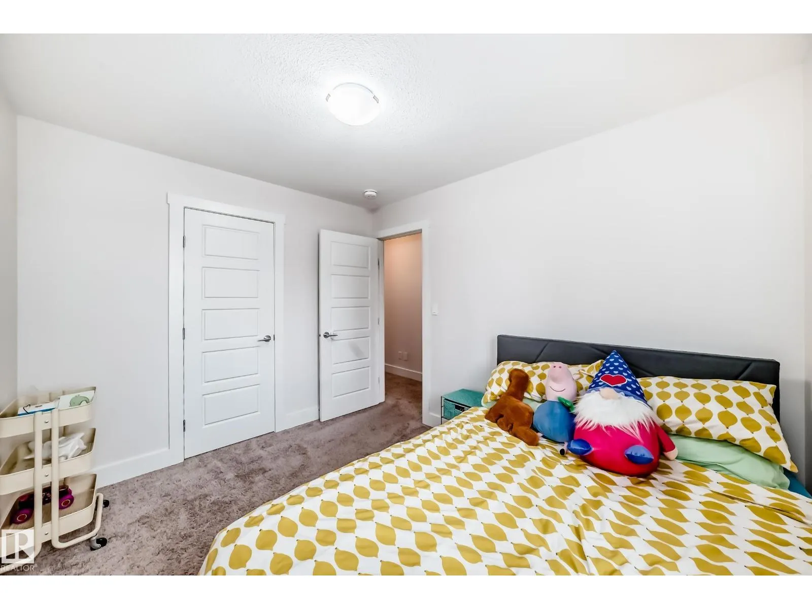 29 PETER ST