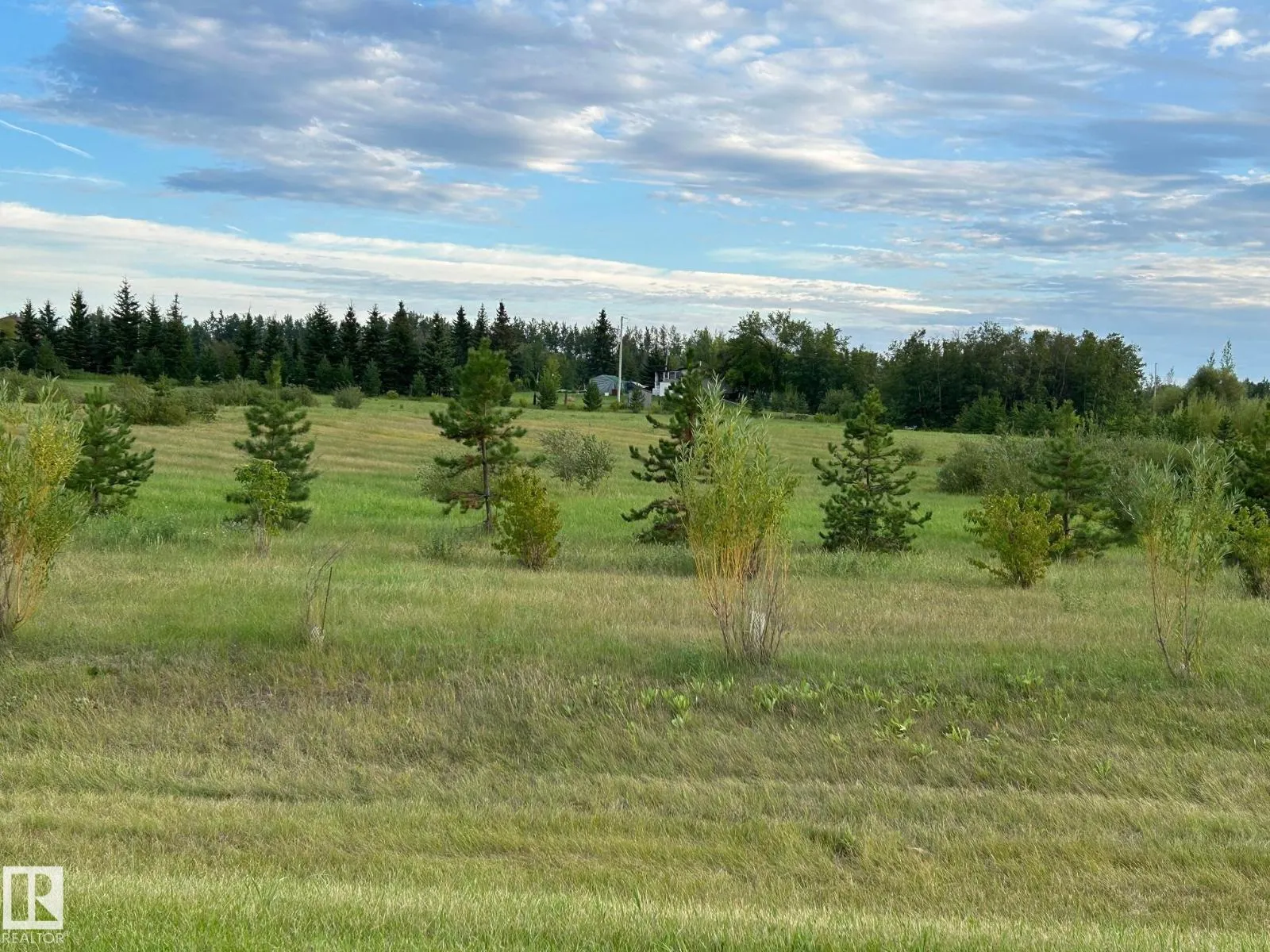 #206 23229 SH 651