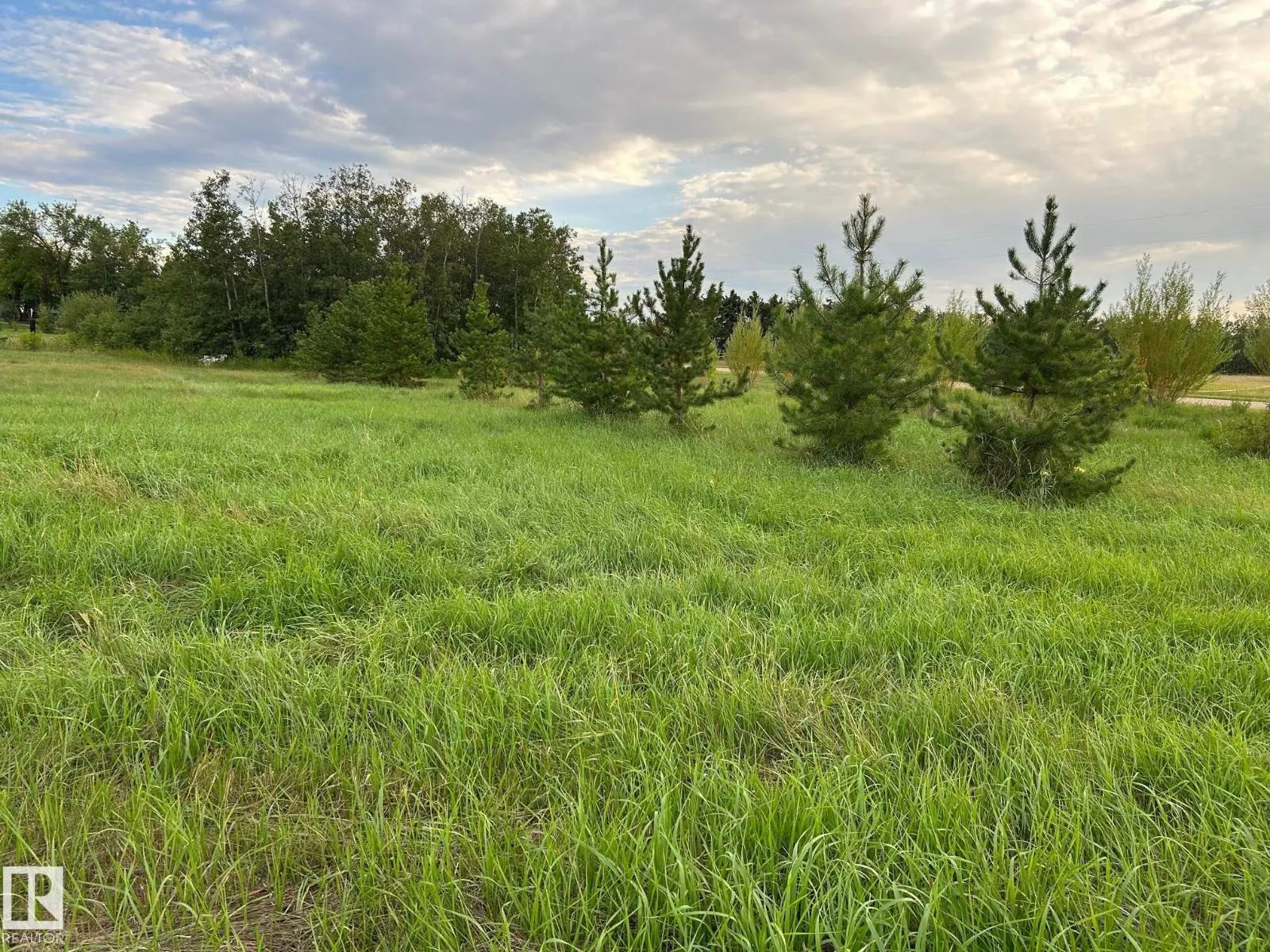 #206 23229 SH 651