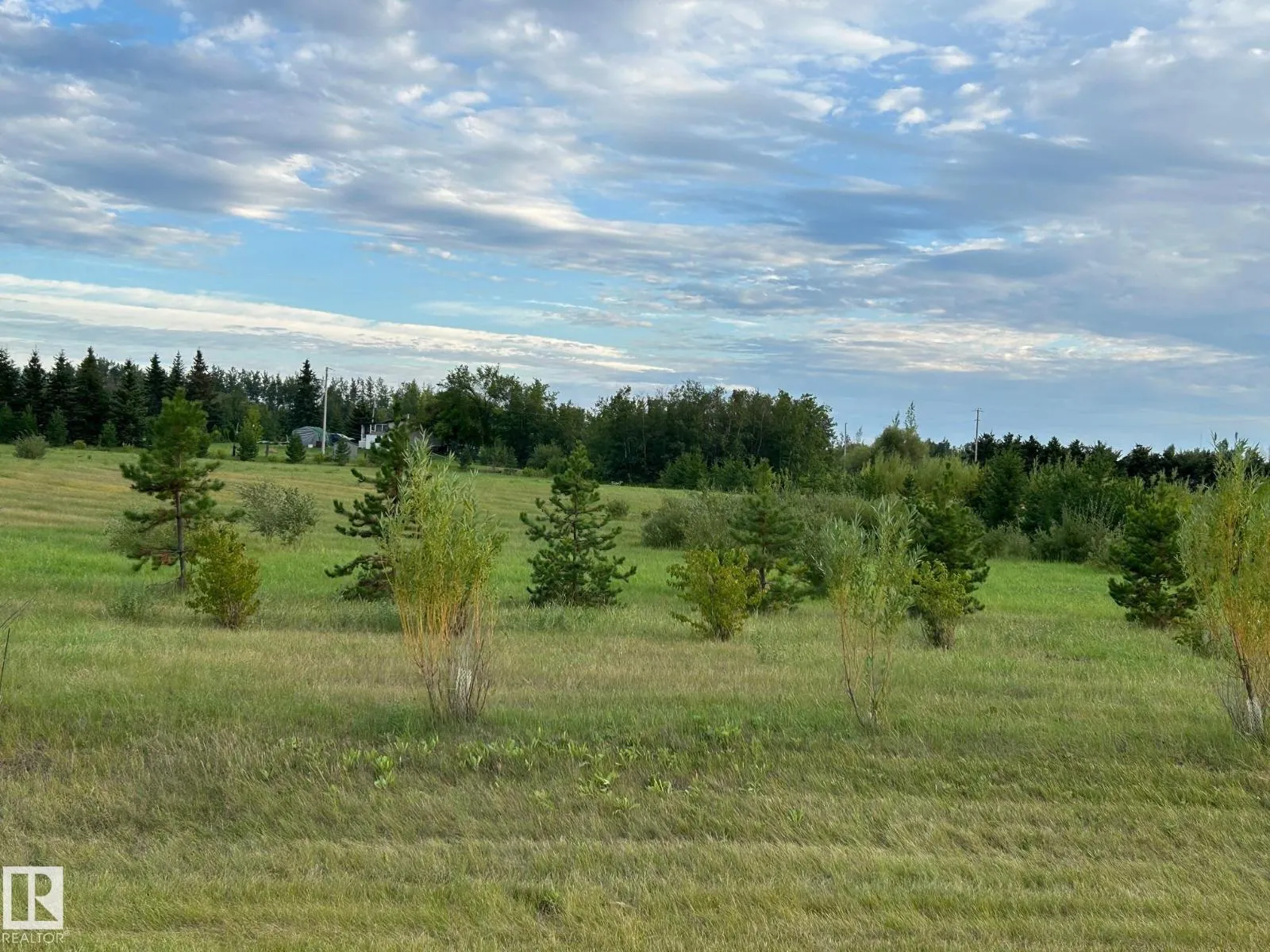 #206 23229 SH 651