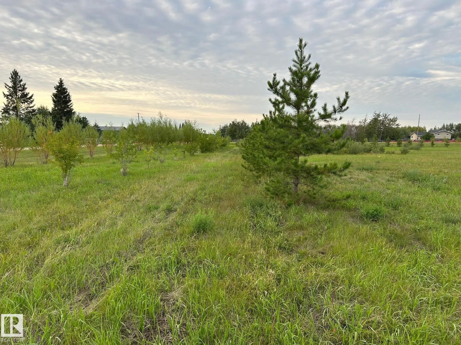 #206 23229 SH 651