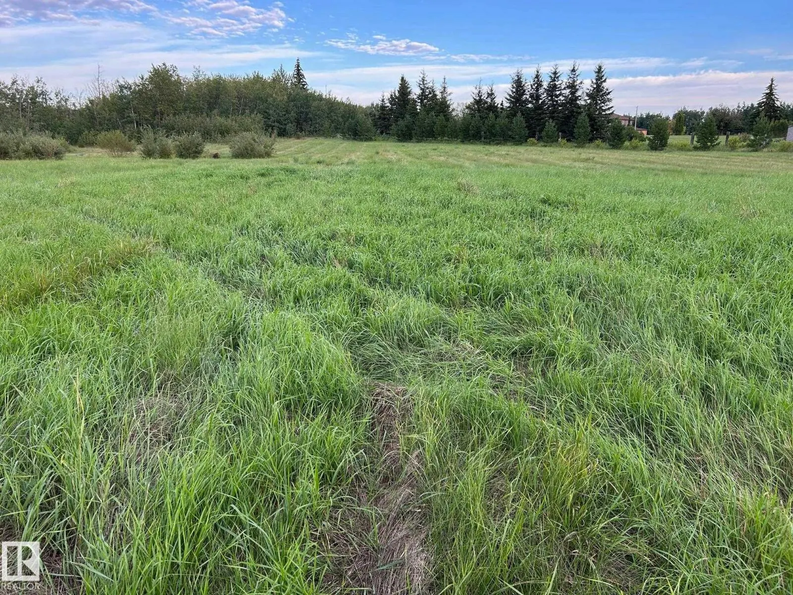 #206 23229 SH 651