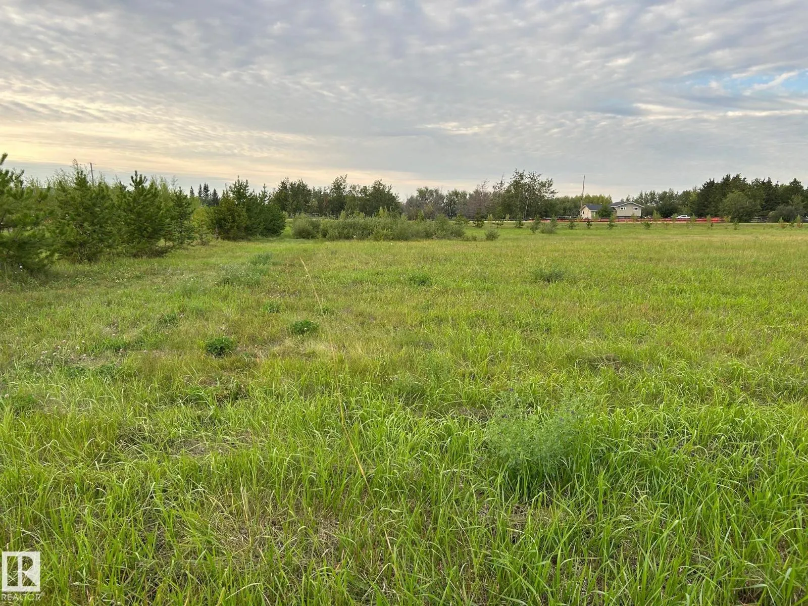 #206 23229 SH 651