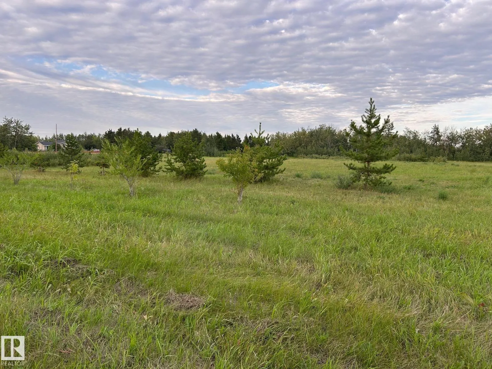 #206 23229 SH 651