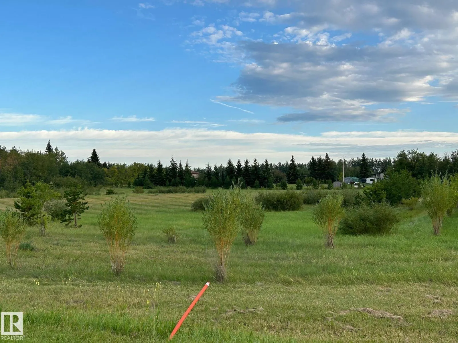 #206 23229 SH 651