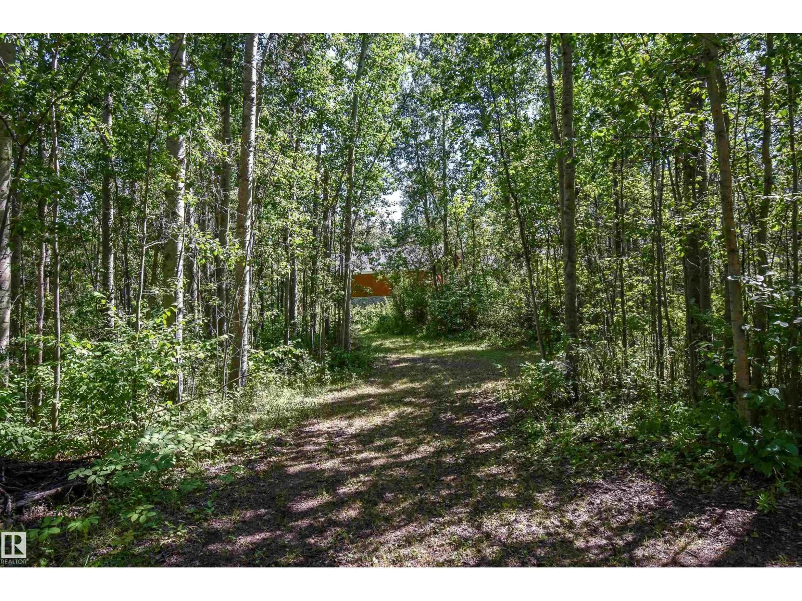 53, 4224 Twp Rd 545