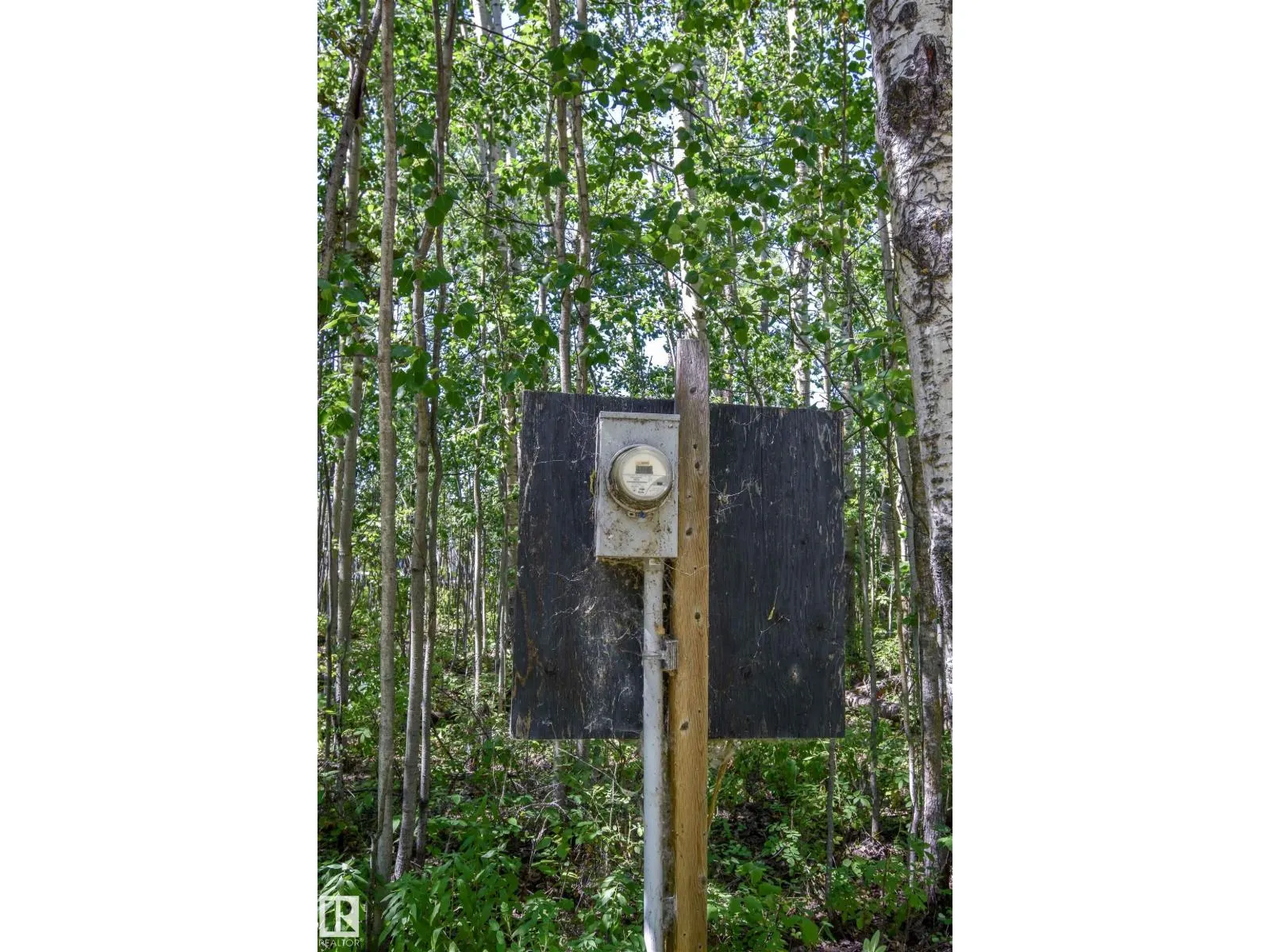 53, 4224 Twp Rd 545