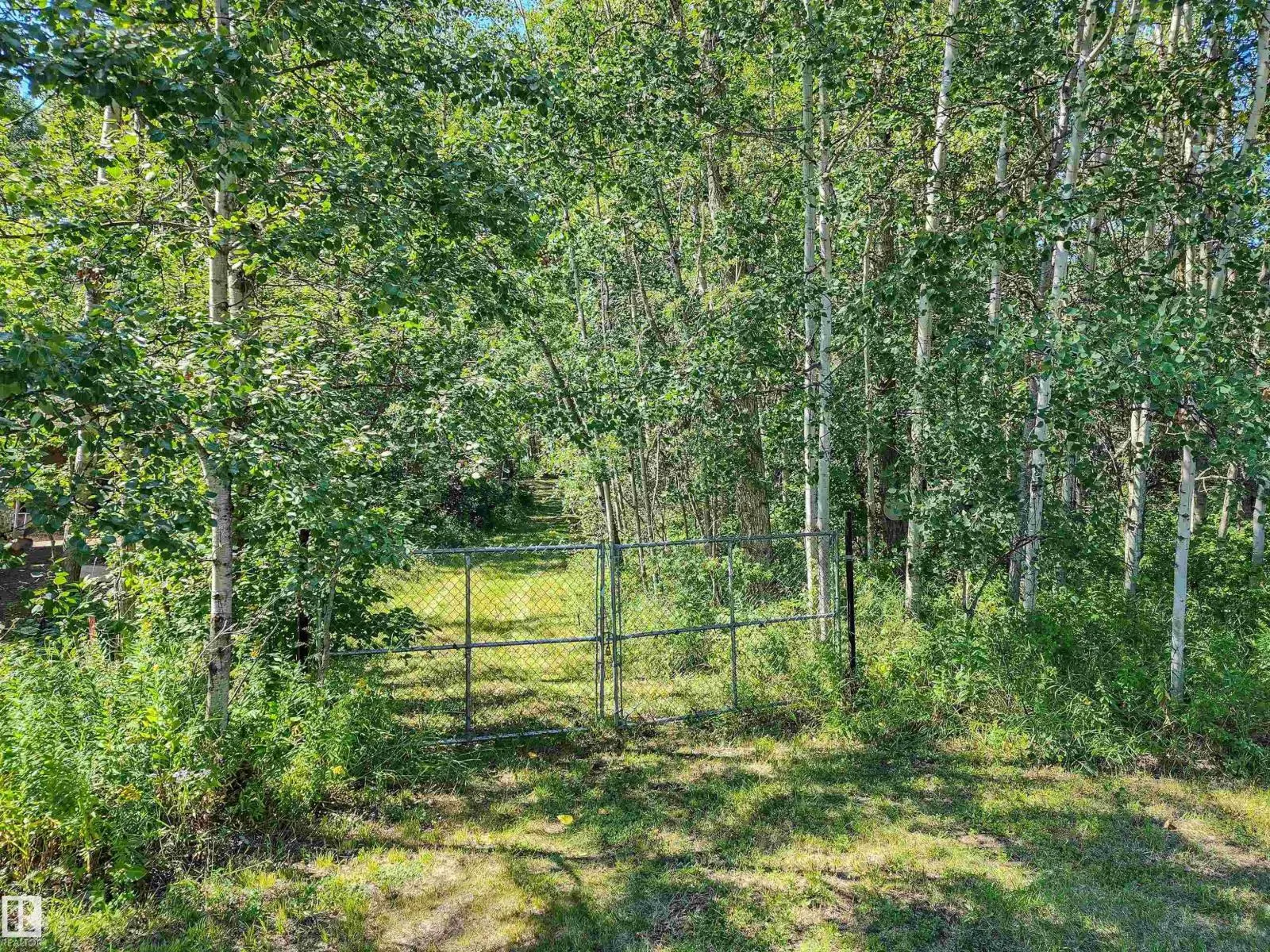53, 4224 Twp Rd 545