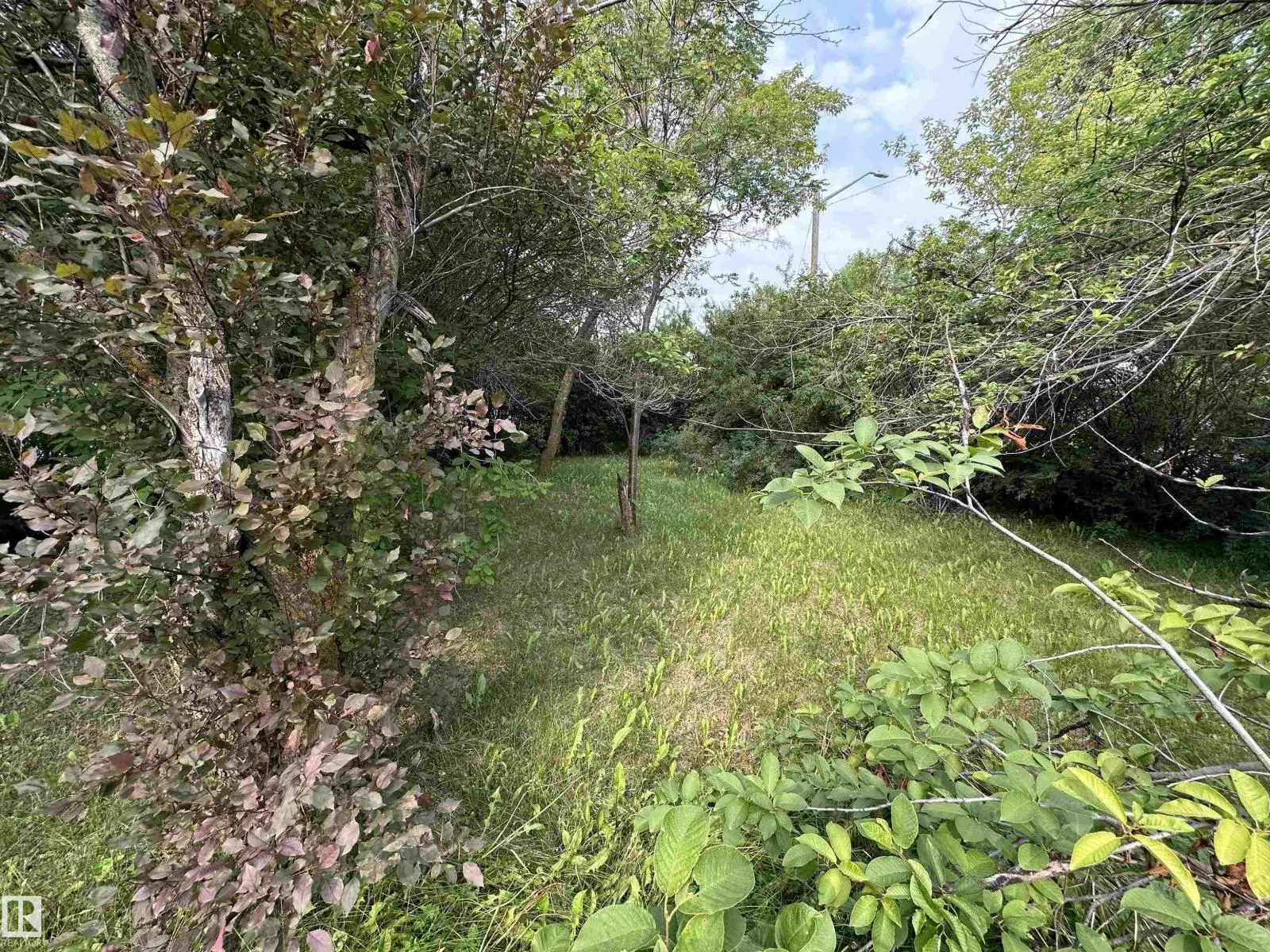 9819 105 ST