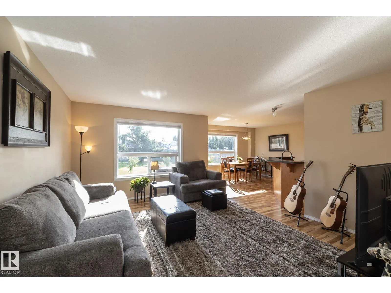 301 BIRCHWOOD DR
