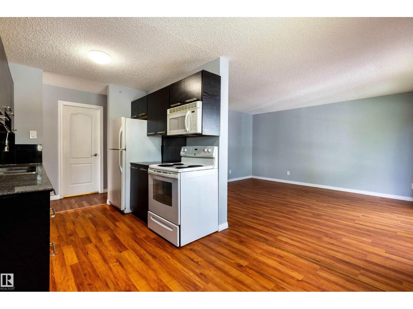 #202 10740 105 ST NW