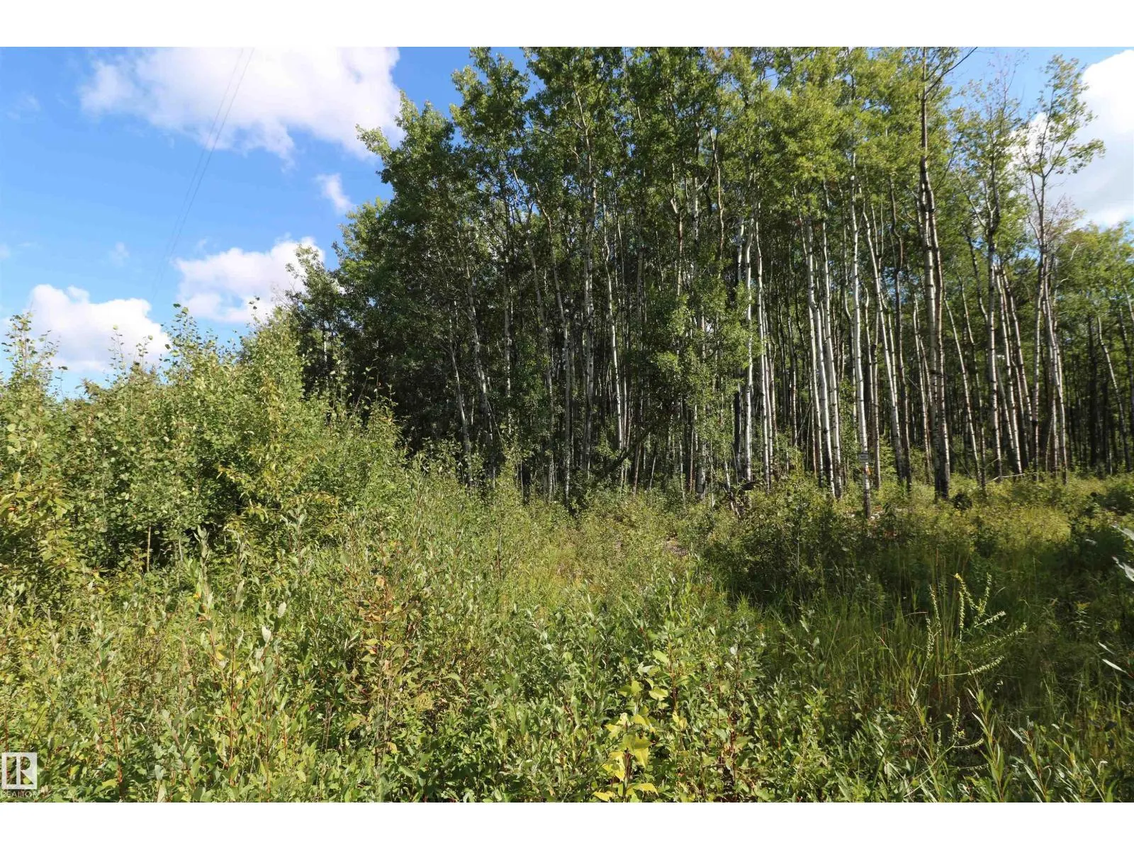 Lot 1, 2418 TWP ROAD 562