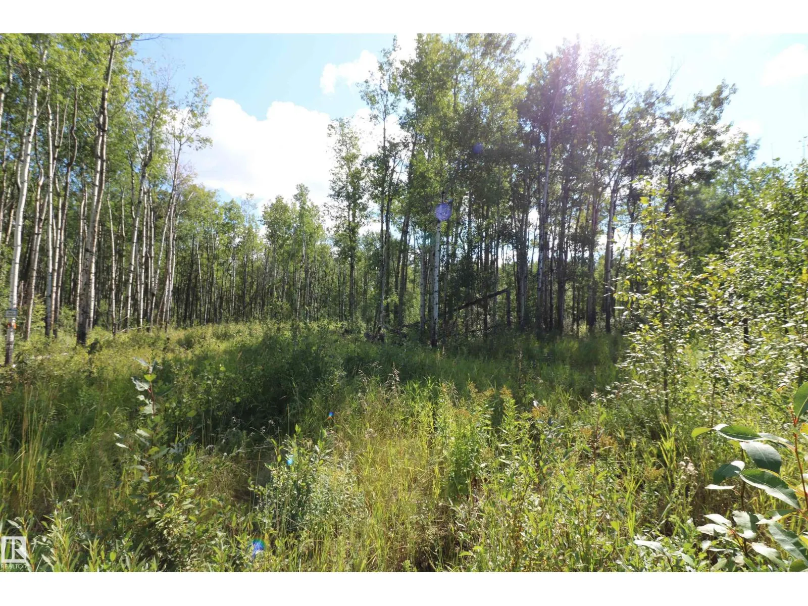 Lot 2, 2418 Twp Road 562