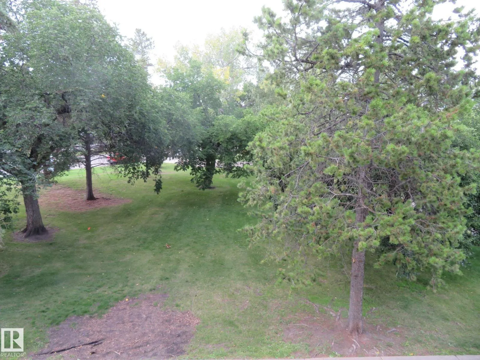 #205 7805 159 ST NW