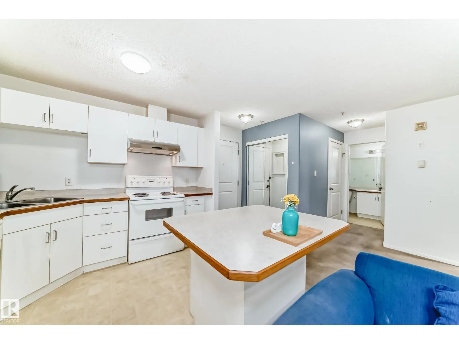 #306 11325 83 ST NW