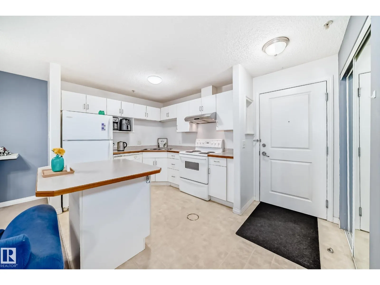 #306 11325 83 ST NW