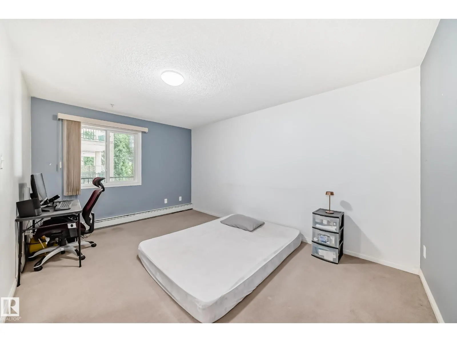 #306 11325 83 ST NW