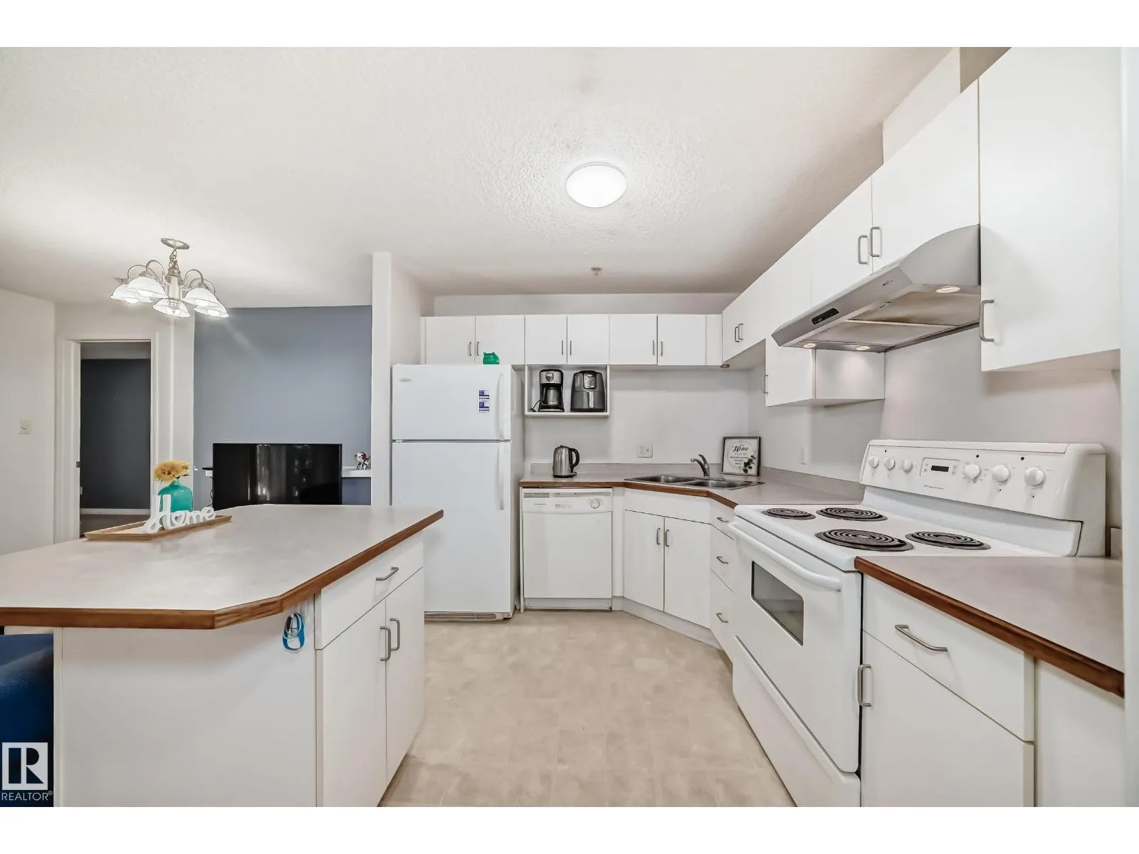 #306 11325 83 ST NW