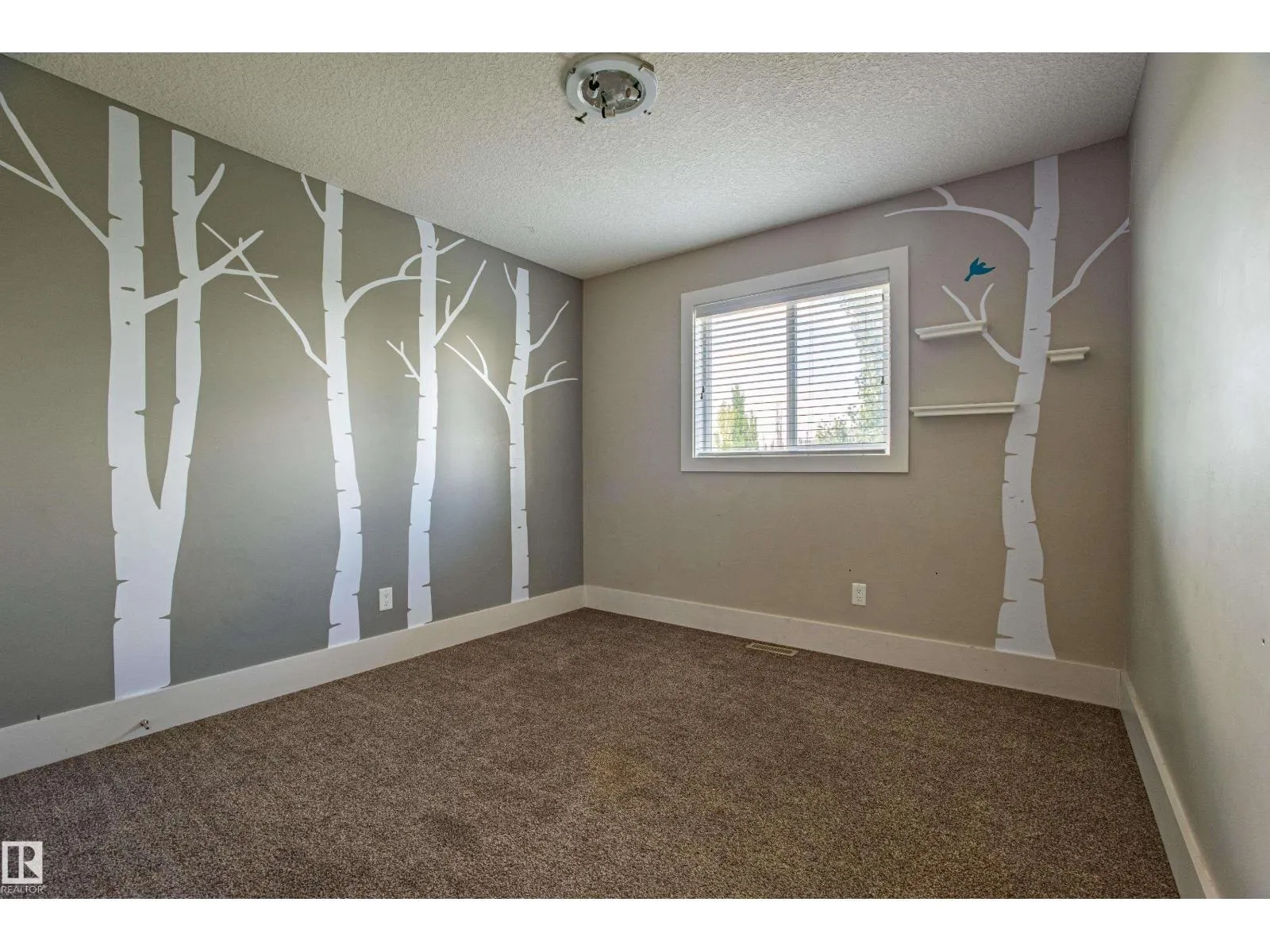 10842 175A AV NW