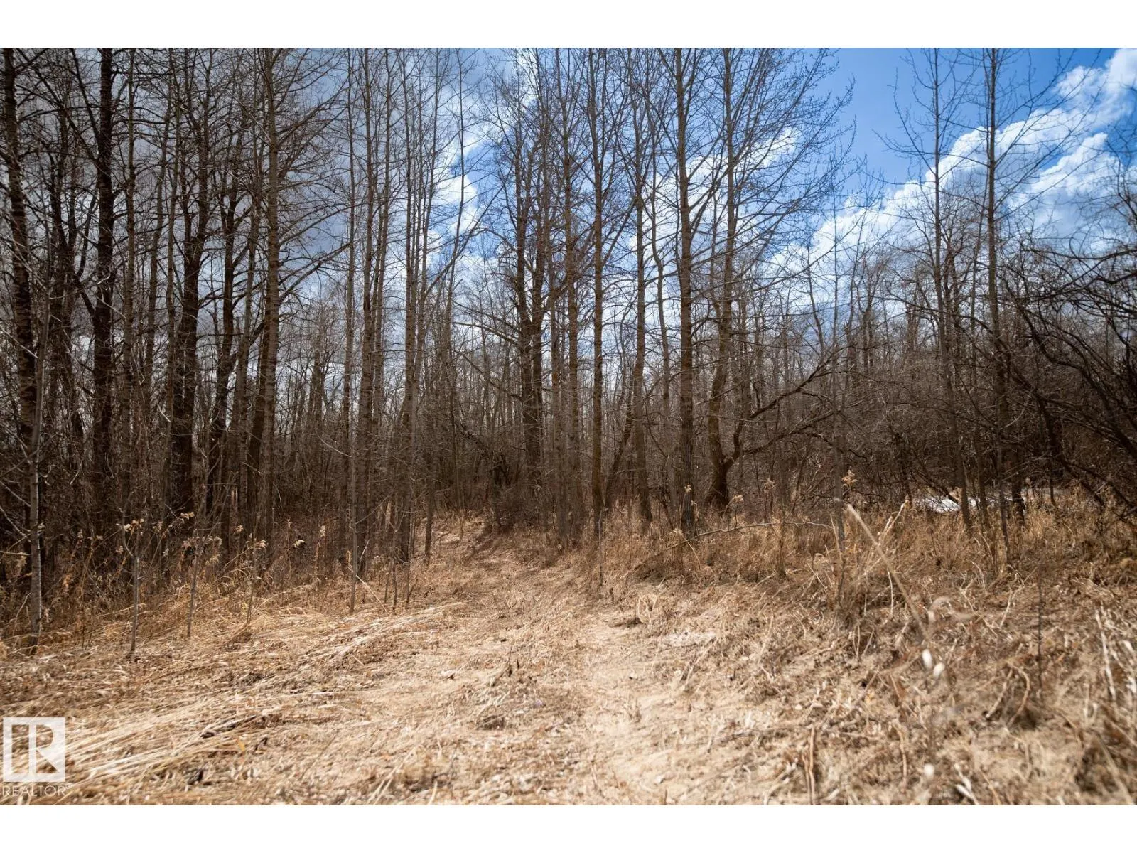 23246 TWP RD 521A