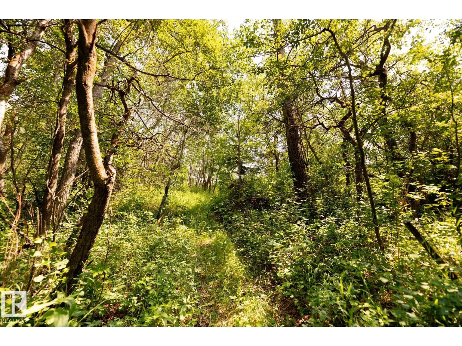 23246 TWP RD 521A