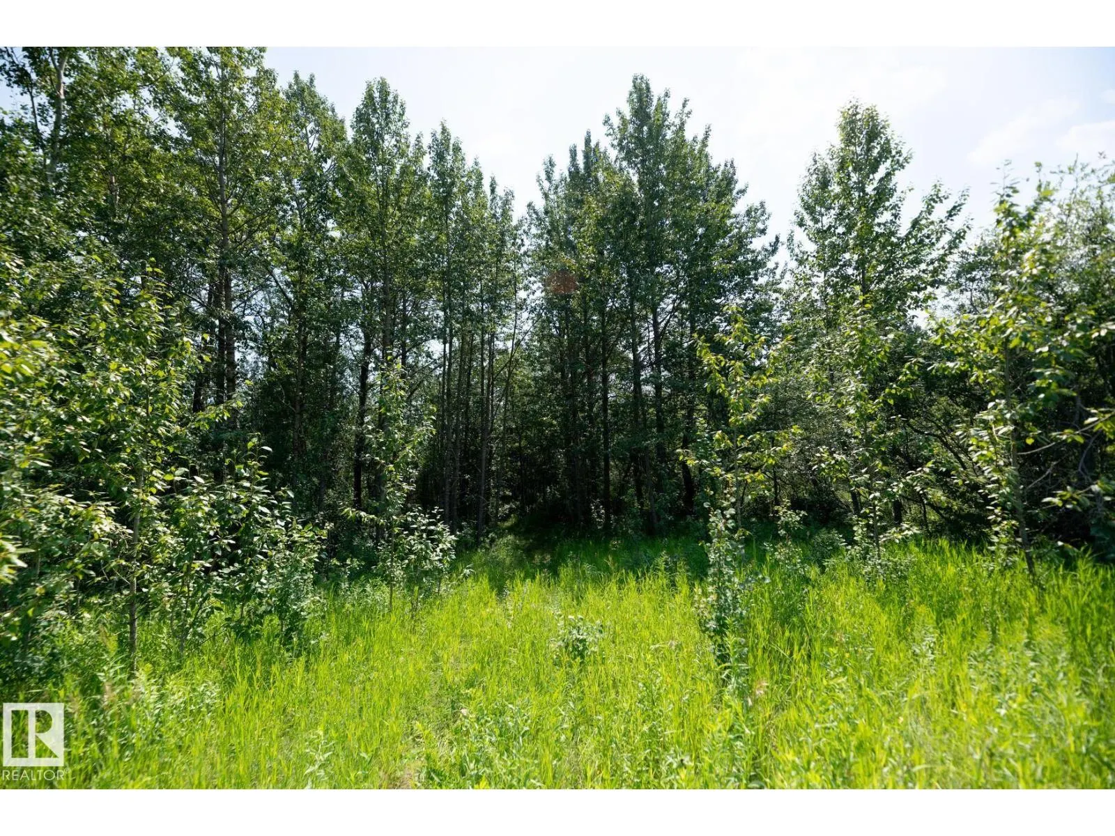 23246 TWP RD 521A