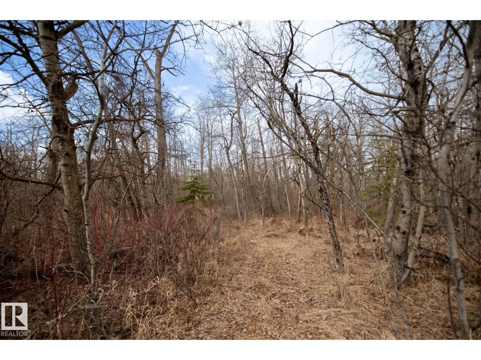 23246 TWP RD 521A