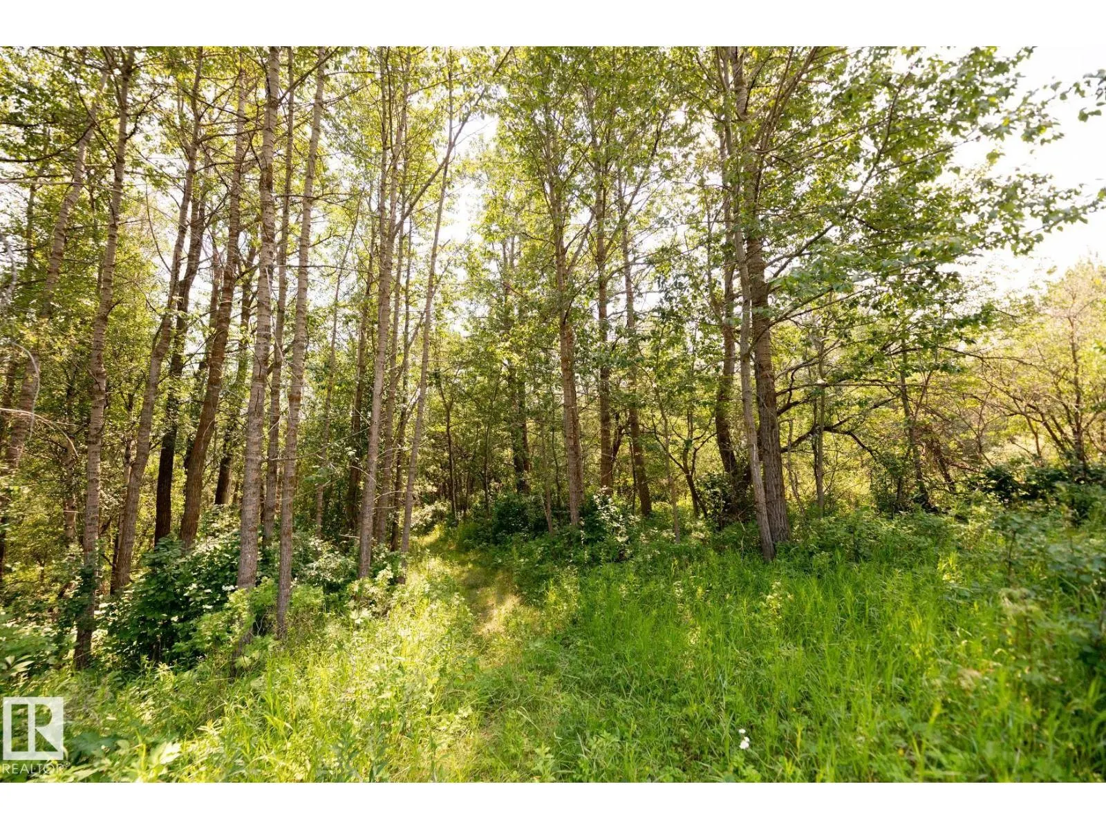 23246 TWP RD 521A