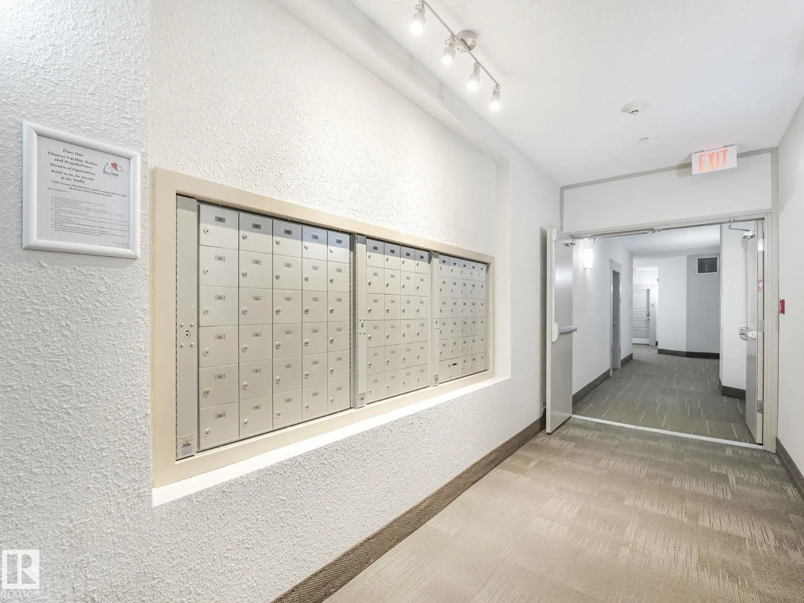 #317 1144 ADAMSON DR SW