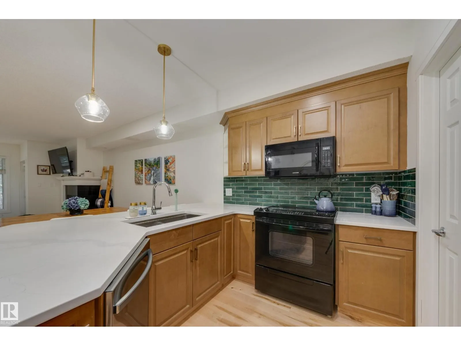 #102 9811 96A ST NW
