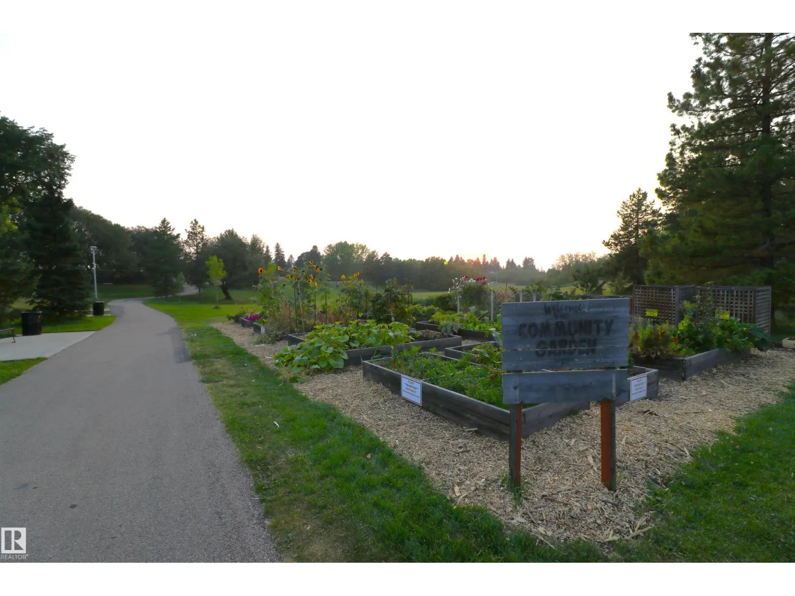 11716 42 AV NW