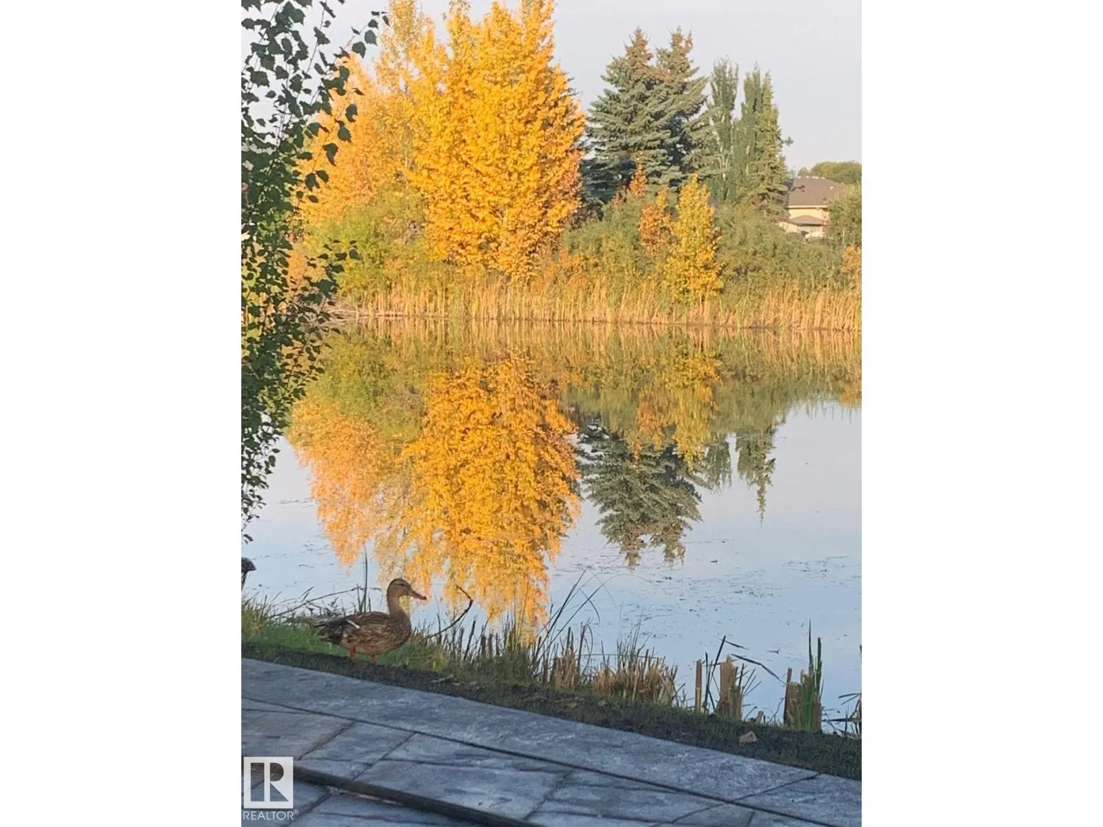 20604 5 AV SW