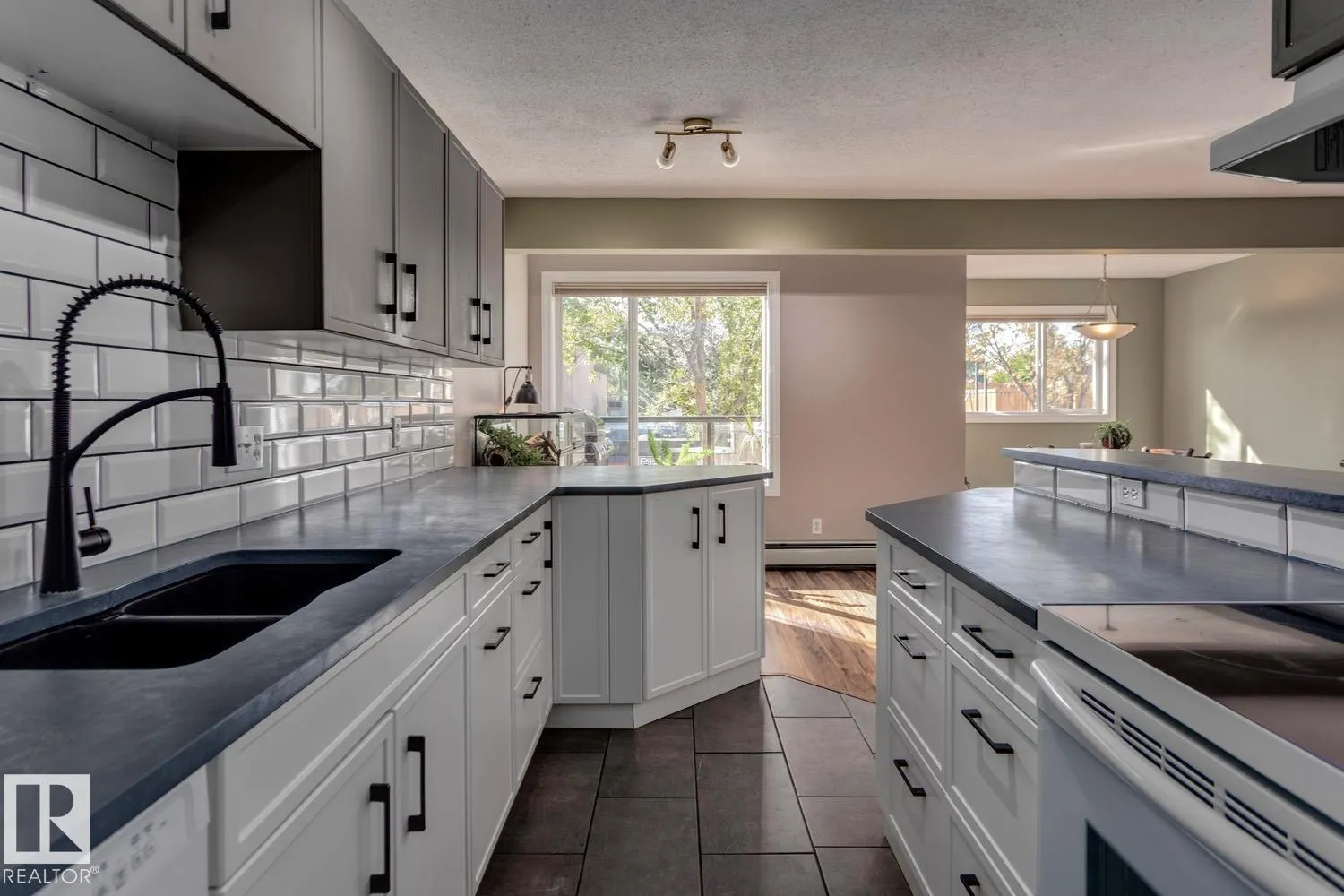 #209 11033 127 ST NW
