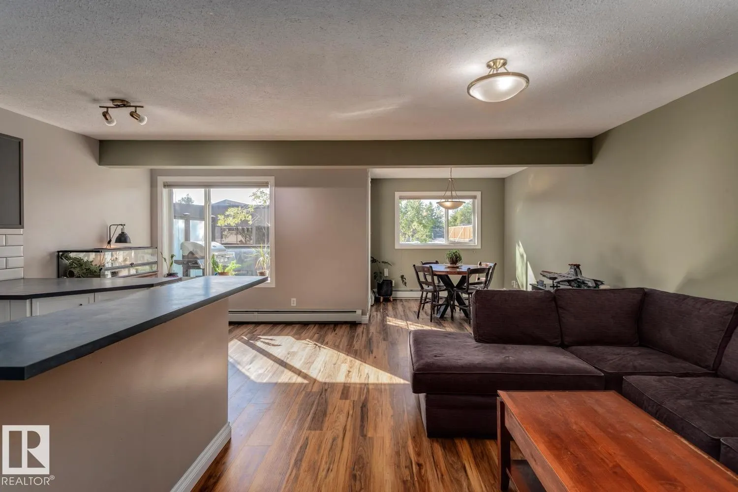 #209 11033 127 ST NW
