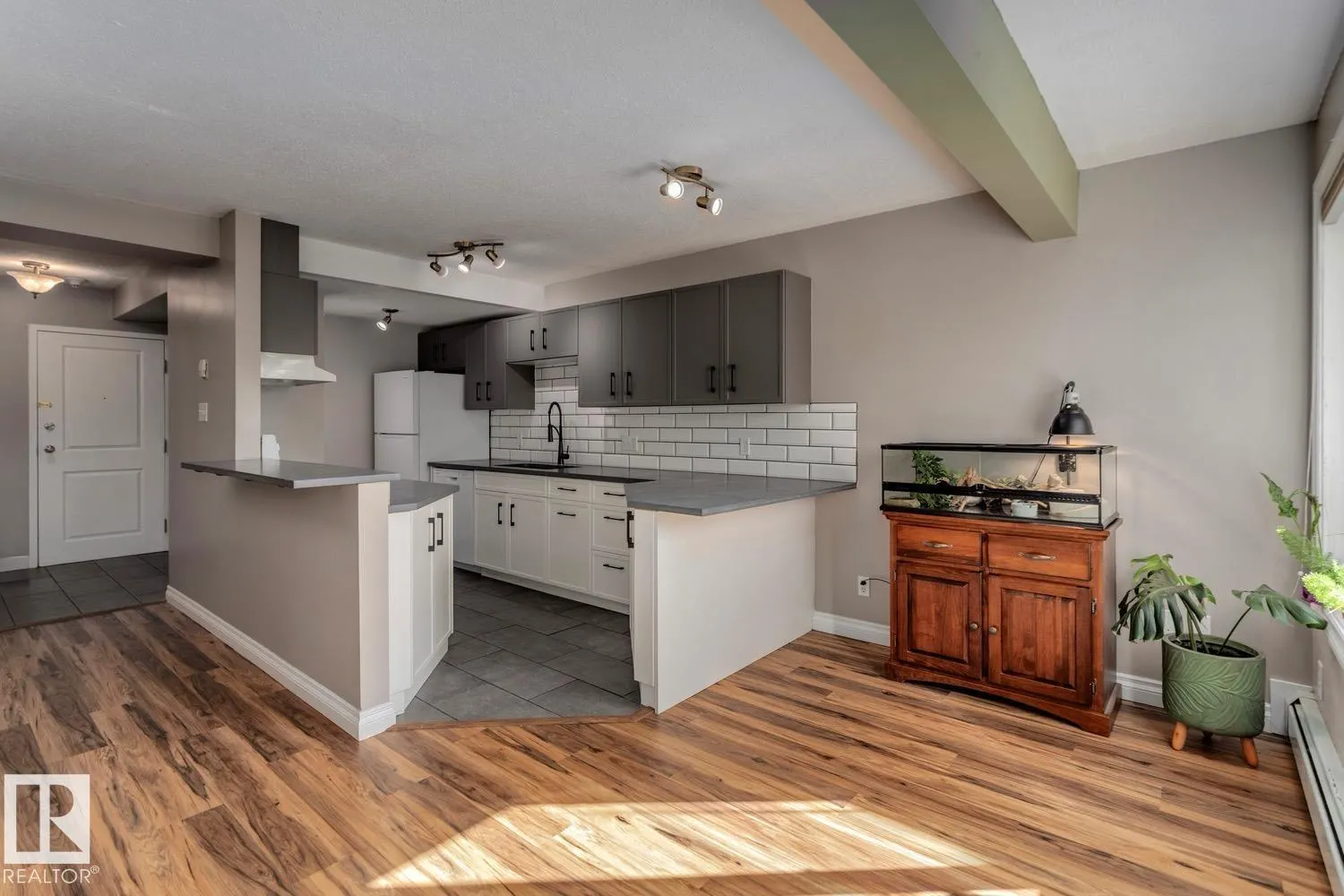 #209 11033 127 ST NW