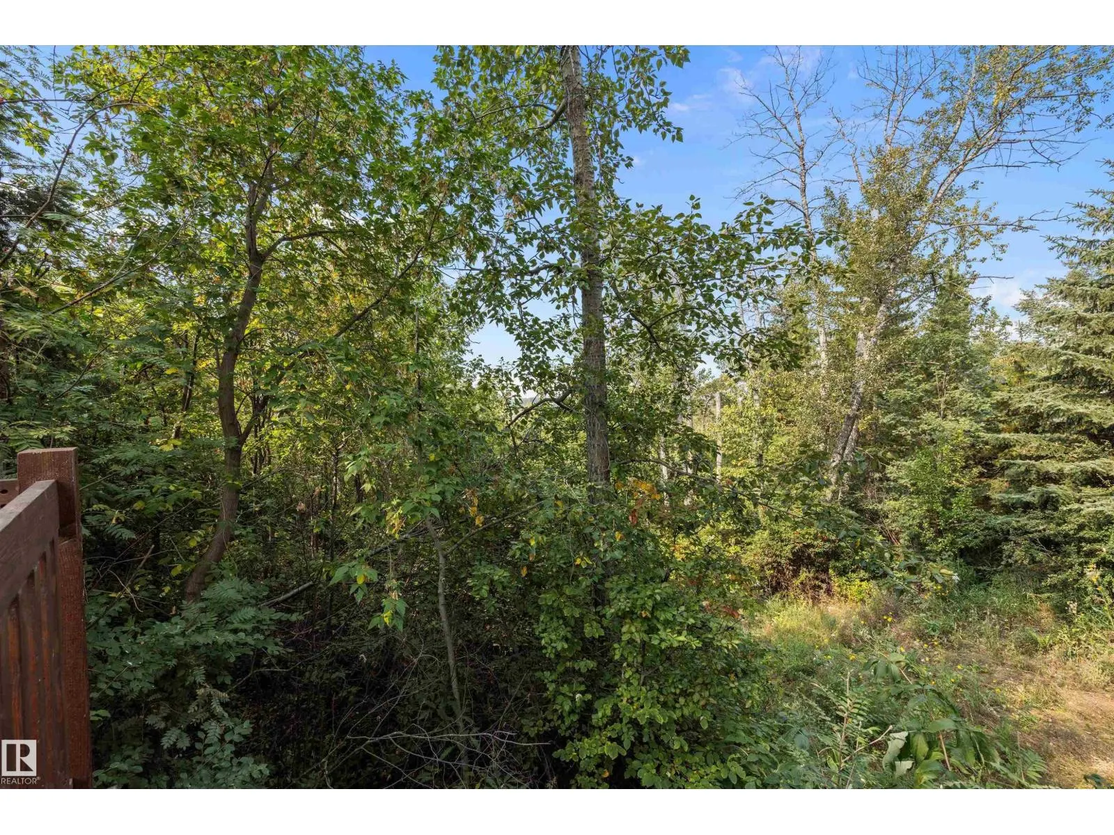 #35 24119 TWP ROAD 554
