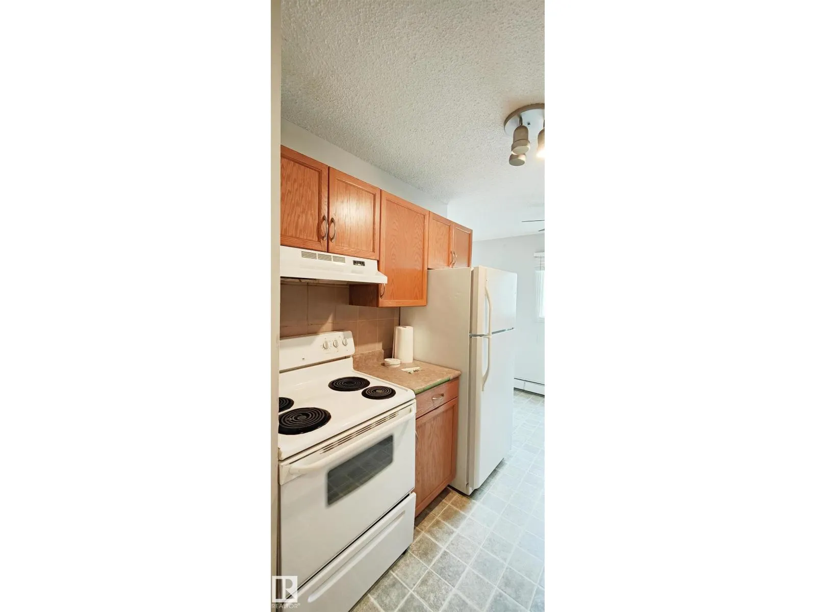 #207 10815 83 AV NW
