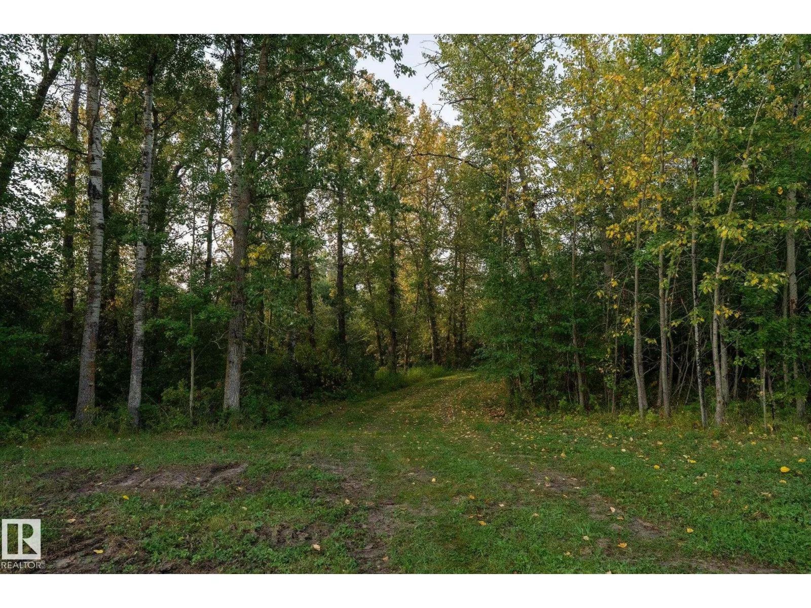 Twp Rd 572A HWY 33