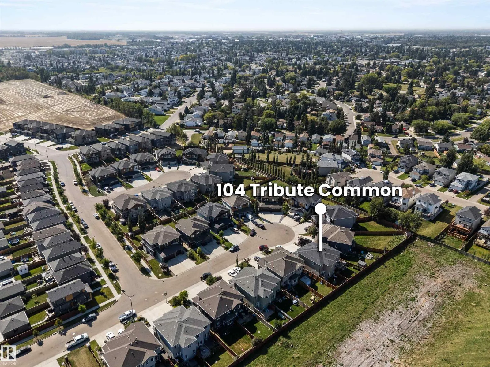 104 TRIBUTE CM
