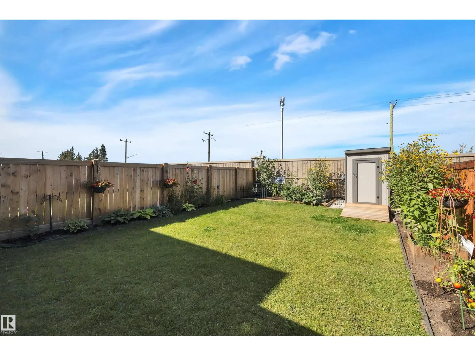 157 Larch CR